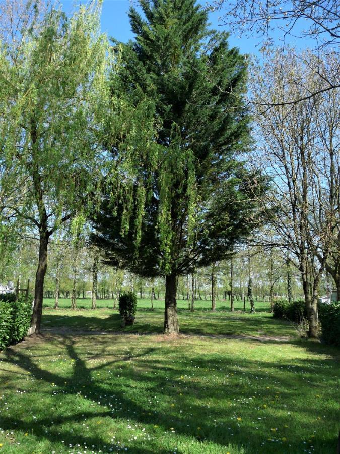Campingplatz L'oasis Des Dombes Ambérieux-en-Dombes